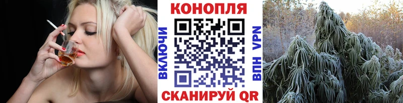 цена наркотик  Гаджиево  ОМГ ОМГ ТОР  Канабис White Widow 